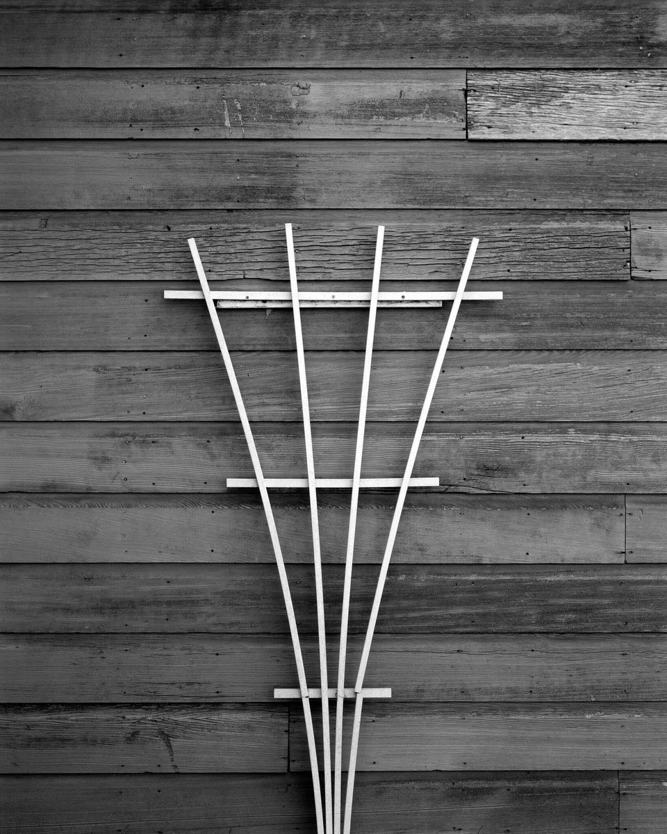 vphill's tweet image. Not a ton to be doing with the power out so here is another large format image.  

Chamonix 45n-1
Ilford HP5+ @ 250
Rodenstock 135mm Apo-Sironar-S @ f32
Epson v800

#believeinfilm #4x5 #viewcamera