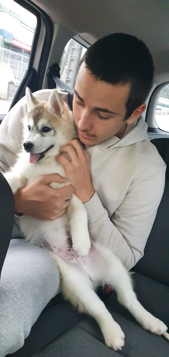 BenjaminMendes5's tweet photo. 1 an tout pile mon pote https://t.co/Yw4SkKlLIa