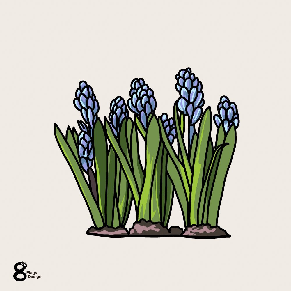 土植えヒヤシンス 無料イラスト素材です 先出のヒヤシンスとセットになります 水 ベクターシェルフのイラスト 土植えヒヤシンス 無料イラスト素材です 先出のヒヤシンスとセットになります 水 ベクターシェルフのイラスト