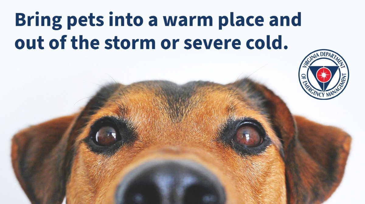 Bring your pets inside. They get cold, too! 