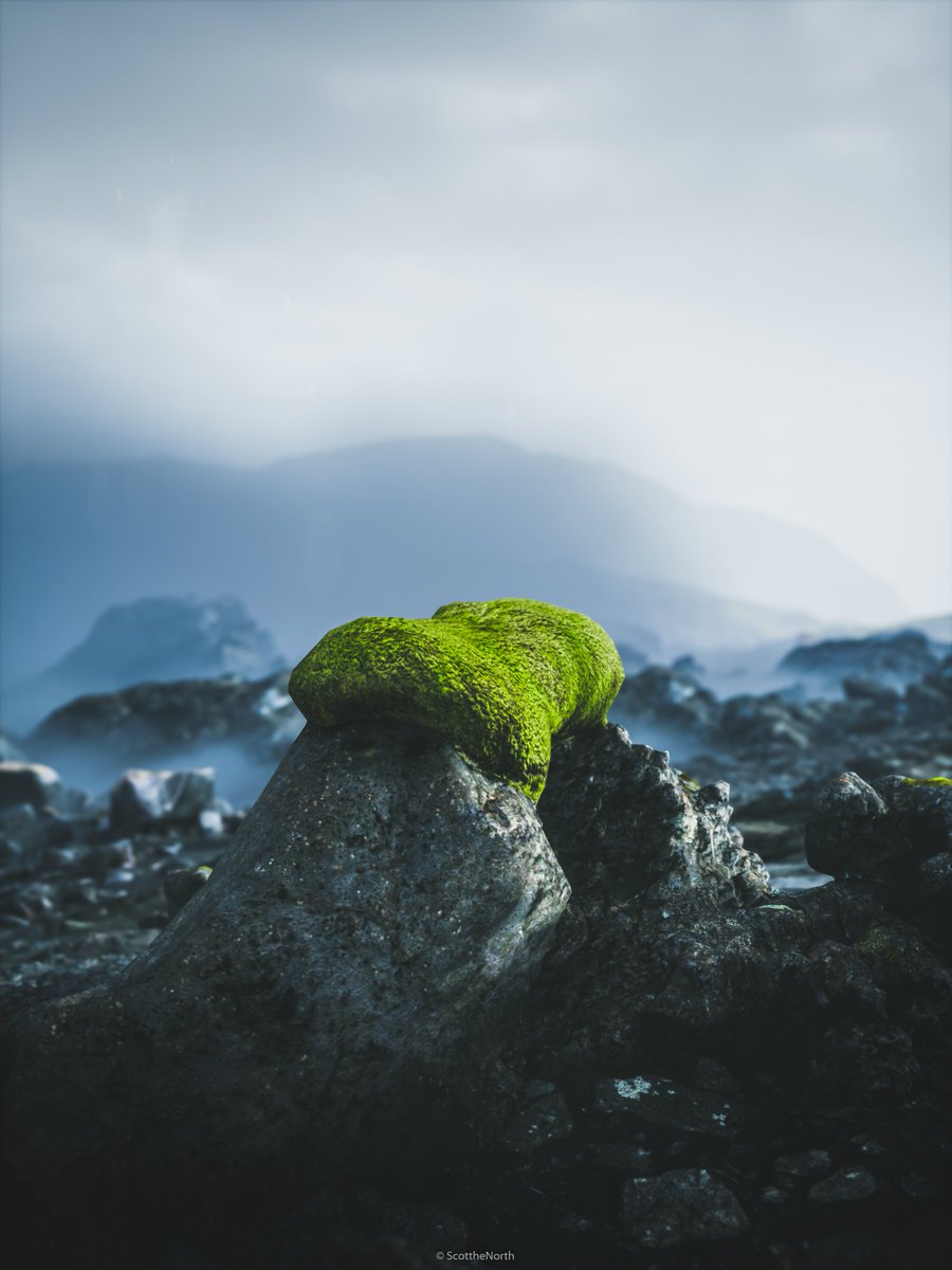 ScottheNorth's tweet photo. Mýrdalssandur, Iceland
#MýrdalssandurIceland
#cavesrd
#VirtualPhotography #VP #ThePhotoMode #ArtisticofSociety #Gametography #VPEclipse #WorldofVP https://t.co/e6uo7Gc1oA
