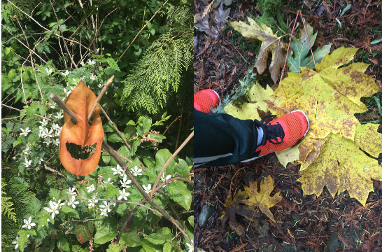 Day 7 - Everyday I will post a picture from the day in the life of an educator. I'll post without explanation and nominate someone else to take the challenge. That's 7 days, 7 pictures, 7 nominations. I was nominated by <a href="/JeffMarshall2/">Jeff Marshall 🇨🇦</a> Today I nominate <a href="/KirstenDeasey/">Kirsten Deasey</a>