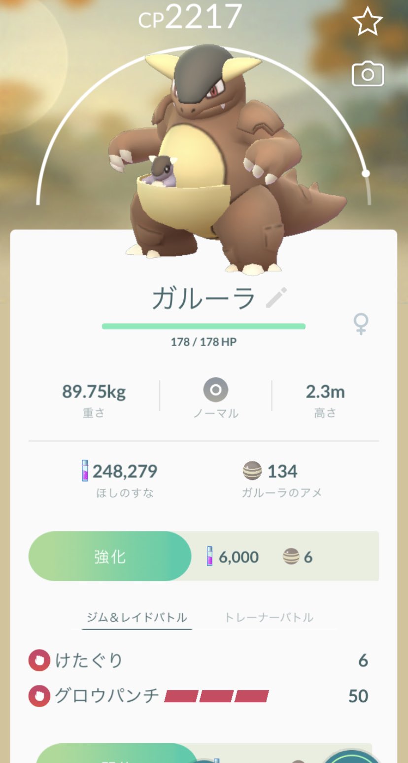 格安 海外ポケモン販売業者 バスタブ Pokemon979 Twitter