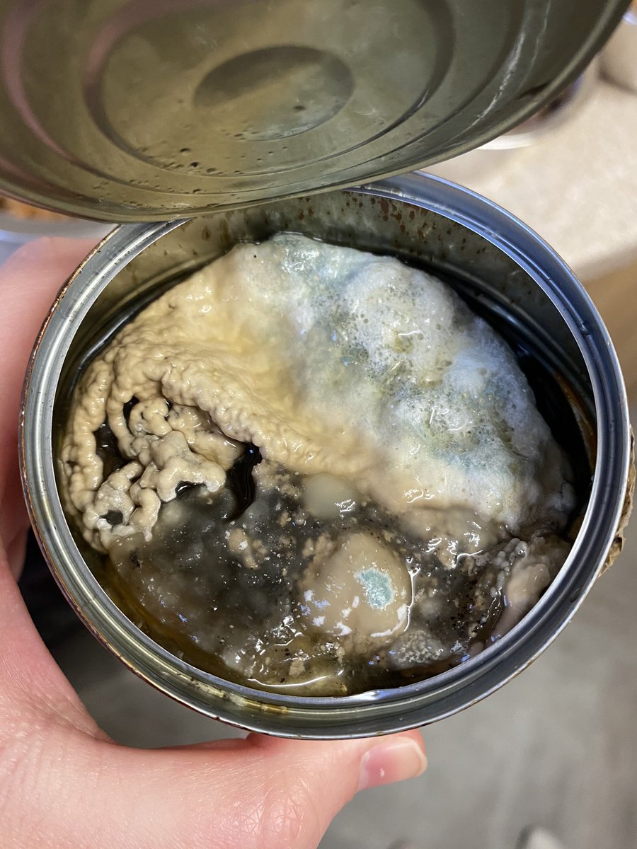 LilAlicesPalace's tweet photo. @PetsatHome i went to feed my cats this afternoon only to find a can of the food purchased from you like this! disgusting. what can be done about this? i won’t be ordering from you again https://t.co/PxKlukji79