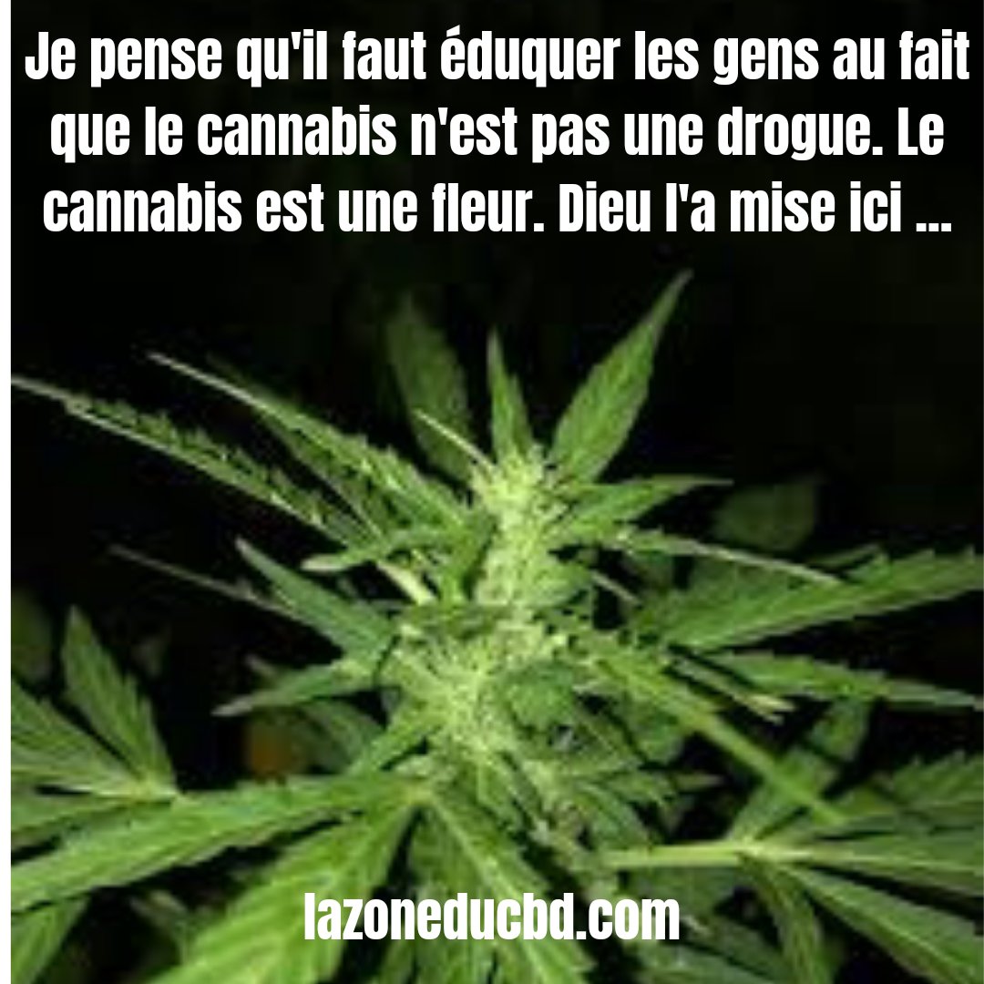 lazoneducbd's tweet image. #cbdoils #cannabidiol #cbd #cbdproducts