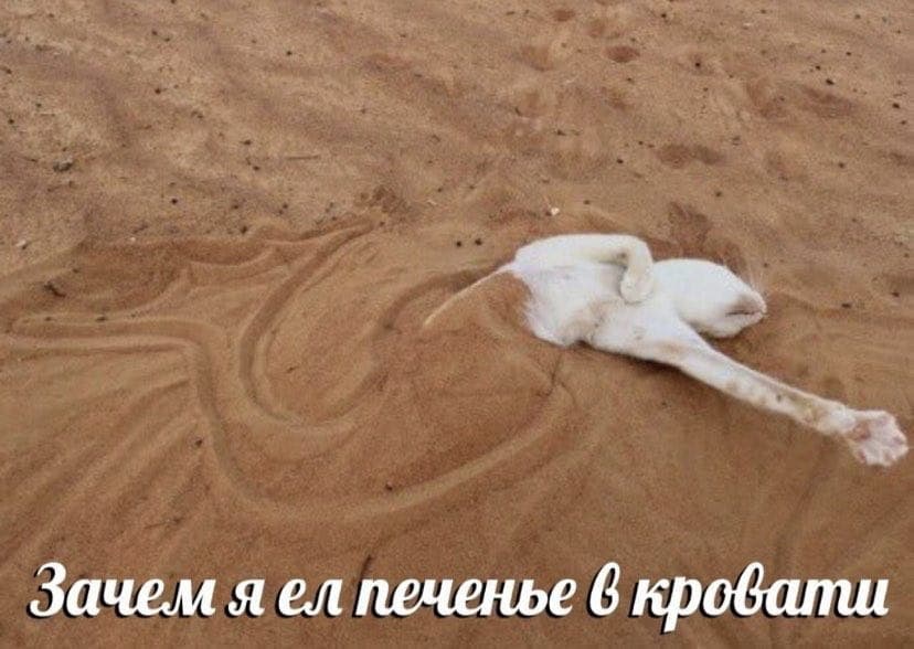 Eub9YncXcAA_Fg8?format=jpg&name=900x900