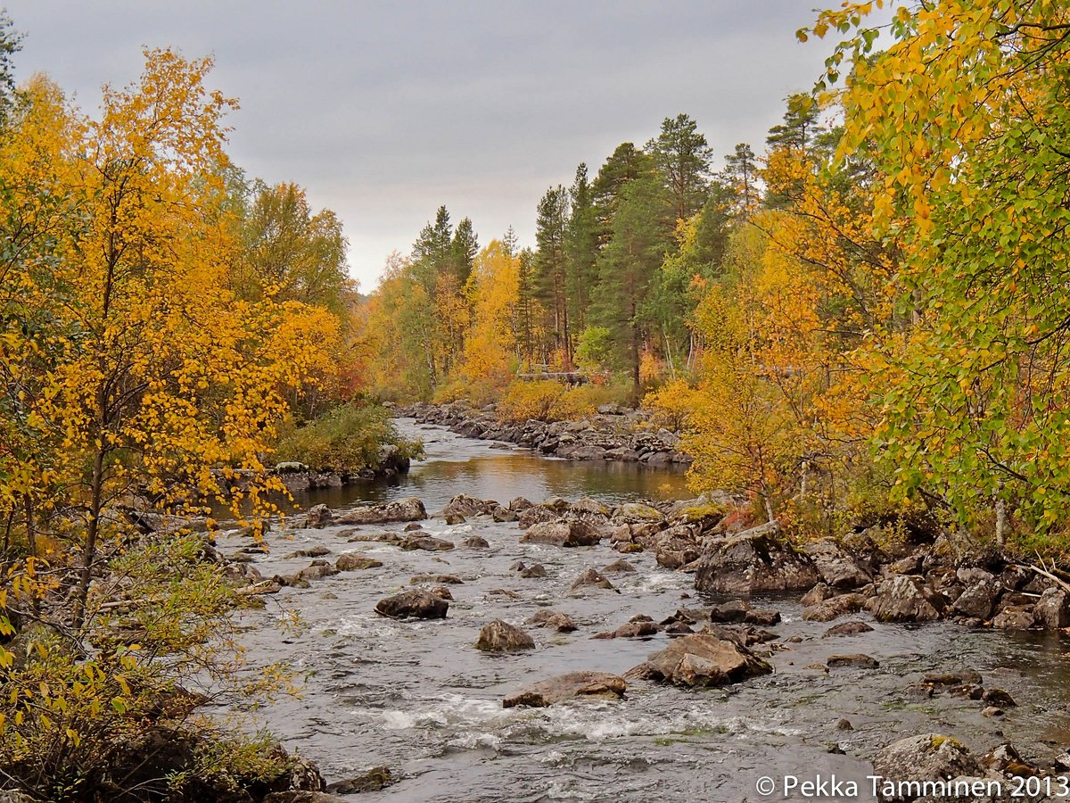 GaiaFoundation's tweet photo. "You cannot muck around on the #river. The river used to be sacred before. You needed to thank her if you received something."
Wednesday wisdom from Skolt #SΓ‘mi fisherman Jouni Moshnikoff.
Find out more about Skolt #sacred rivers here: https://t.co/EjW3kl4laH https://t.co/gfUKzVFha2