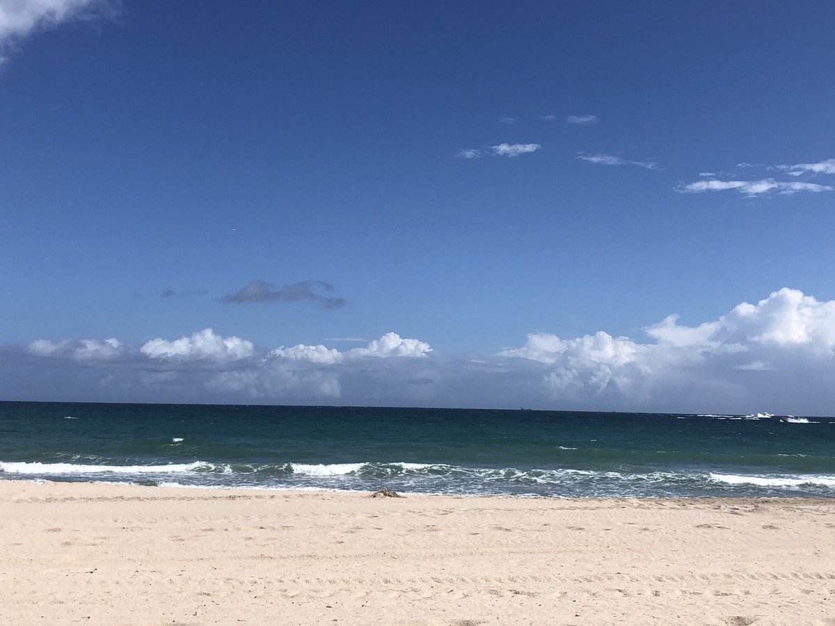 For all of you who need to see the beach right now🌴