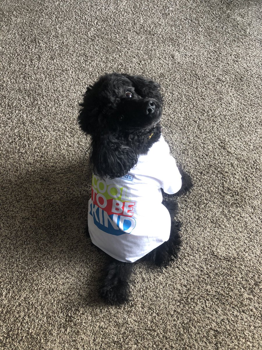 SHAPE_Colorado's tweet image. Board Member @_CoachGlen is not only taking time to #SpreadKindness at his school - his dog also got in on the fun! What are you doing to #SpreadKindness today? Tag us in your #RandomActsofKindnessDay pics &amp;amp; we will retweet some of our faves! #HealthMovesMinds @SHAPE_America