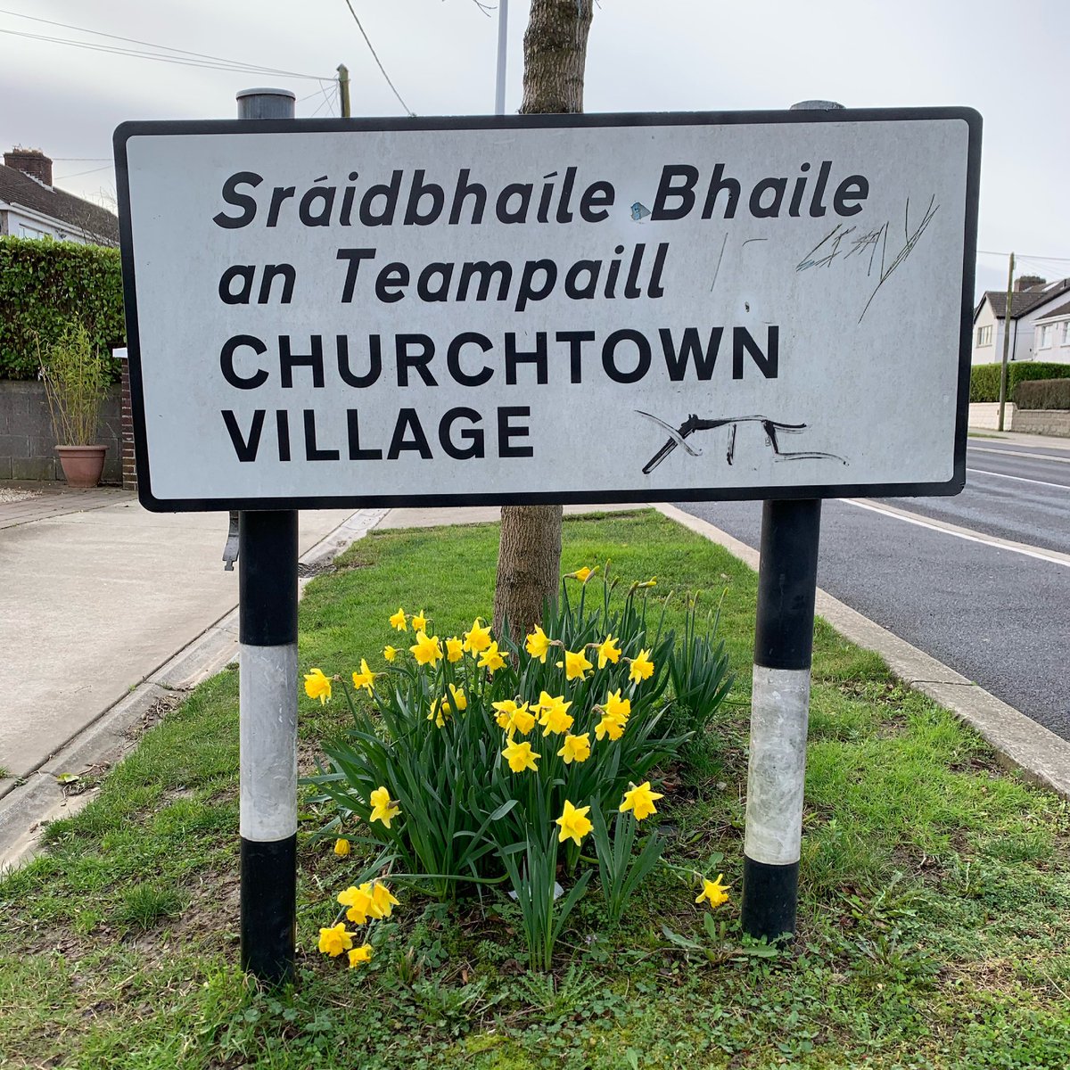 ChurchtownPics's tweet image. #churchtown #dublin14