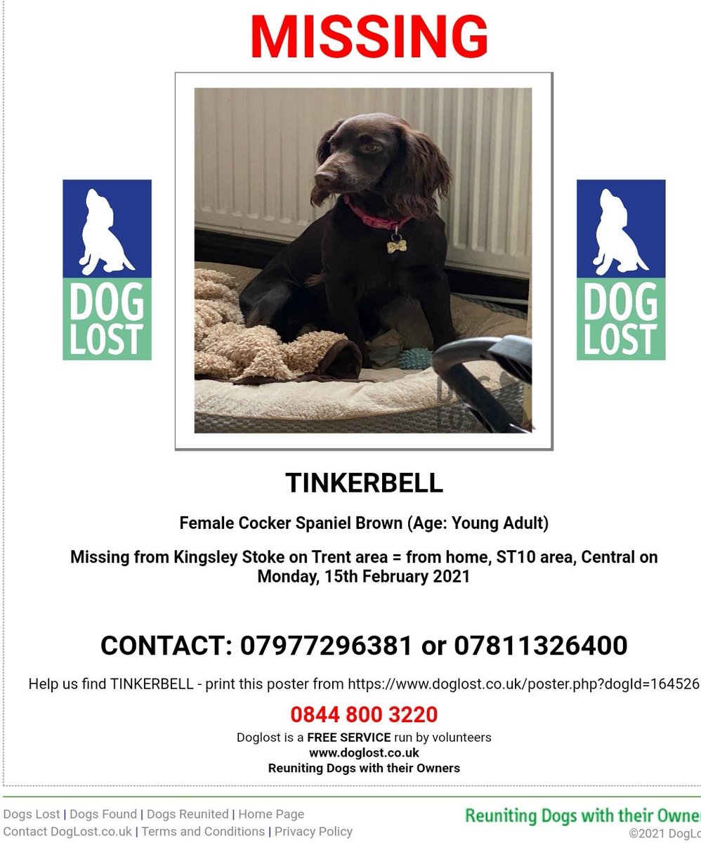 joannew0112's tweet photo. @Sotlive Please share #missing from #kingsley #stokeontrent #Staffordshire
Not one sighting so possibly #stolen
#female #CockerSpaniel
#findtinkerbell
https://t.co/smyUosqmSz https://t.co/MLIq68CTIA
