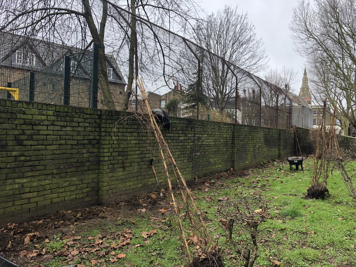 St John the Divine (@sjtdprimary) on Twitter photo We are delighted to have <a href="/Londonsplantman/">Darren Stobbart</a> back with us installing the final stretch of our green screens! #greenschool #happyschool We are delighted to have <a href="/Londonsplantman/">Darren Stobbart</a> back with us installing the final stretch of our green screens! #greenschool #happyschool