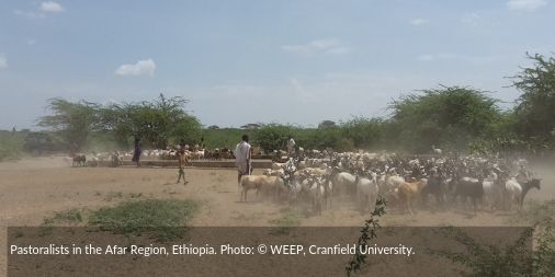 'Water Security' provides #ImpactLessons about the realities facing people for whom water insecurity is a daily threat - read paper in full at
bit.ly/2ki6HBU
<a href="/FCDOGovUK/">Foreign, Commonwealth & Development Office</a>
<a href="/ESRC/">Economic and Social Research Council</a>
<a href="/IDS_UK/">Institute of Development Studies</a>
<a href="/REAL_Centre/">REALCentre Cambridge</a>