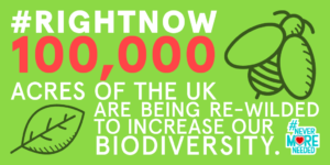 #RightNow, some of the 20,000 spring flowering bulbs planted over the last 4 years by volunteers with <a href="/BigLocalDykeHse/">Big Local Dyke House</a> #MakeDykeHouseBeautiful are beginning to poke through. #NeverMoreNeeded