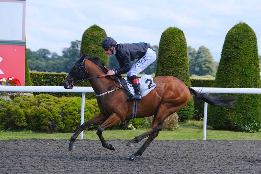 After his paternal half-brother Diligent Harry's emphatic win at Kempton yesterday, we're hoping STREAMLINE will make it a Clive Cox/Due Diligence double today!
Good luck to all connections.
