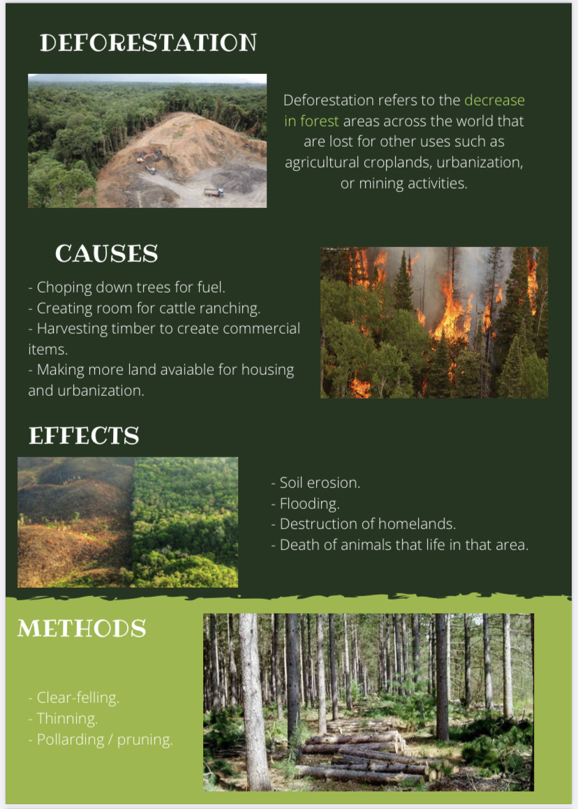 ColegiosElValle's tweet photo. Los alumnos de #3ESOA están tan implicados  con el #MedioAmbiente y con la #deforestación que han creado estos maravillosos posters para concienciar a la población #ColegiosElValle #VB #Geography https://t.co/XP5MrPShwR