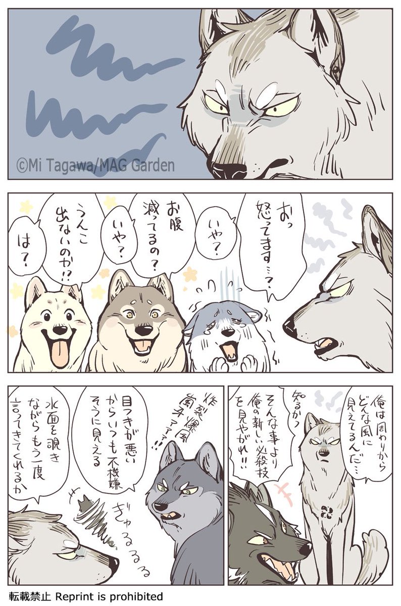 飛雨(Hisame)ってどんな狼?とのご質問でしたのでお答えします?お風呂が大好きで山の中の秘湯から人間界の銭湯や温泉巡りをするのが趣味です♨️目つきが悪いのを気にしていて前髪で目元を隠しています 控えめで一歩引いてるので褒められる事に慣れていない所があります 