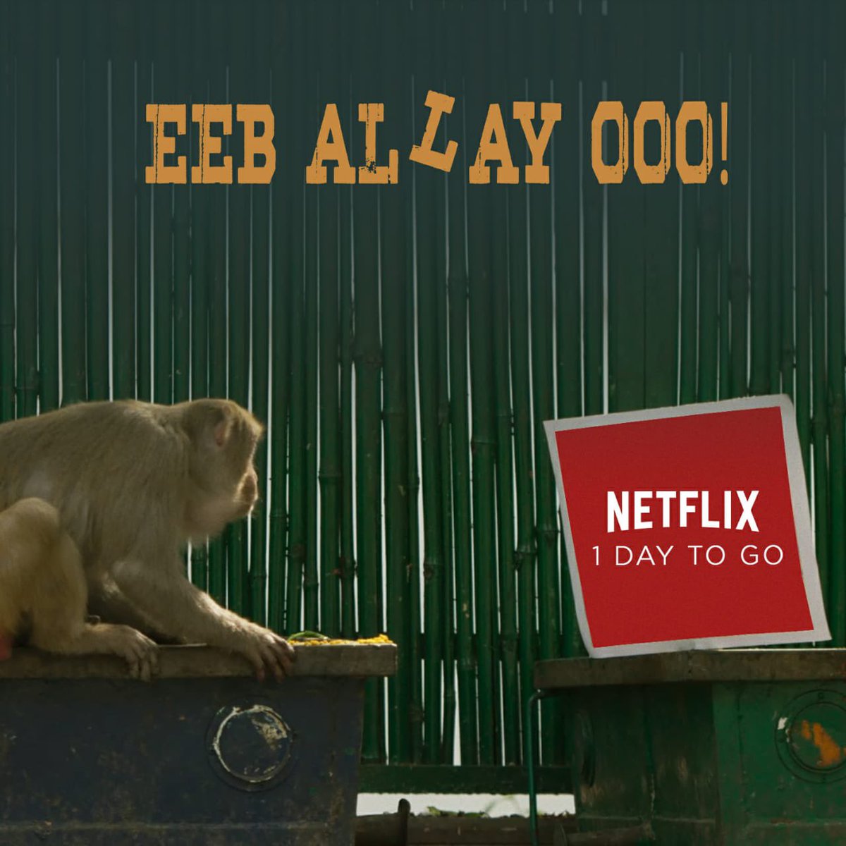 eeballayooo_film tweet media