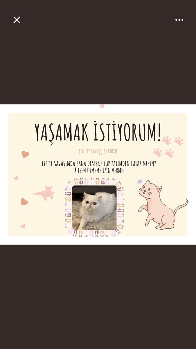 Coco yaşasın diye dijital kart satın alırmısınız?🙏😔 shopier.com/Fipcoco
