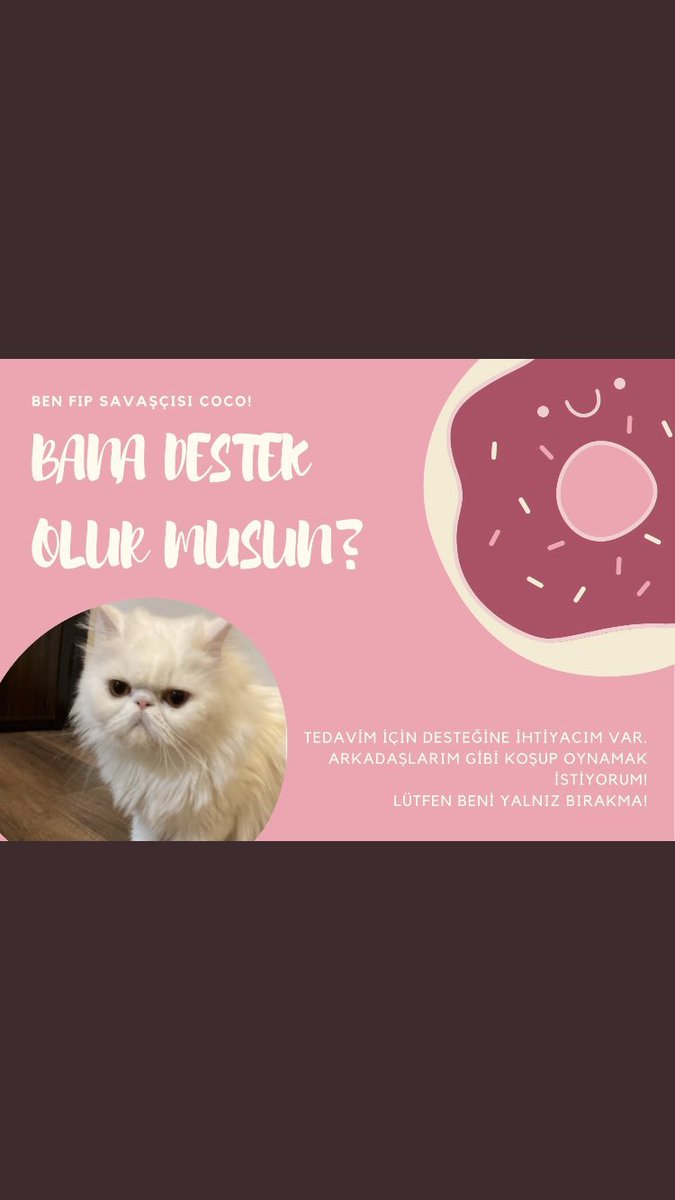 CocoFip's tweet photo. @hudaverdihera @sagan_mr coco için bu linkten dijital kart satın alırmısınız🙏🙏 https://t.co/IySMHW4nGO https://t.co/wTJaYhOG17