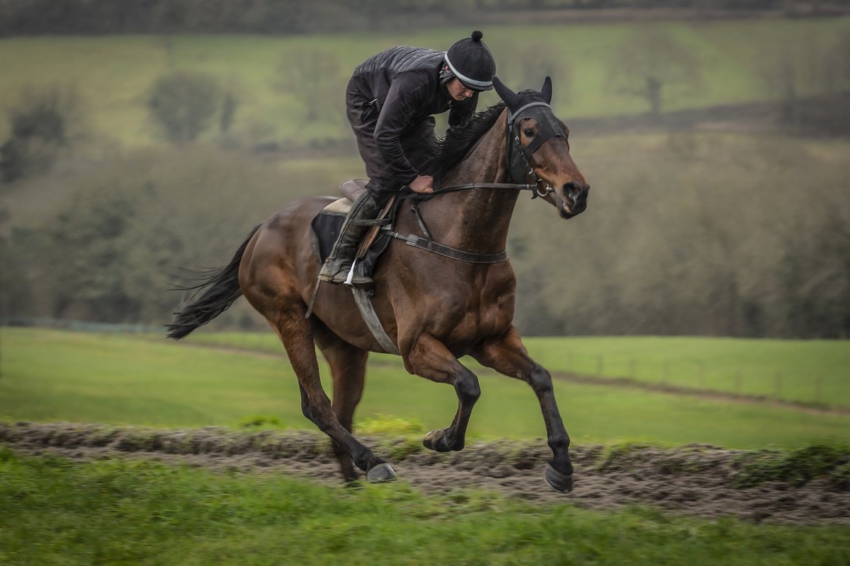 NigelTwistonDav's tweet photo. One runner today with Good Boy Bobby going to @WetherbyRaces for the 2.40, a 2m 3+f class 2 handicap hurdle, with Daryl Jacob in the saddle.
Review: https://t.co/np2vmp5Rht
#wetherbyracecourse https://t.co/aIhmai2ARE