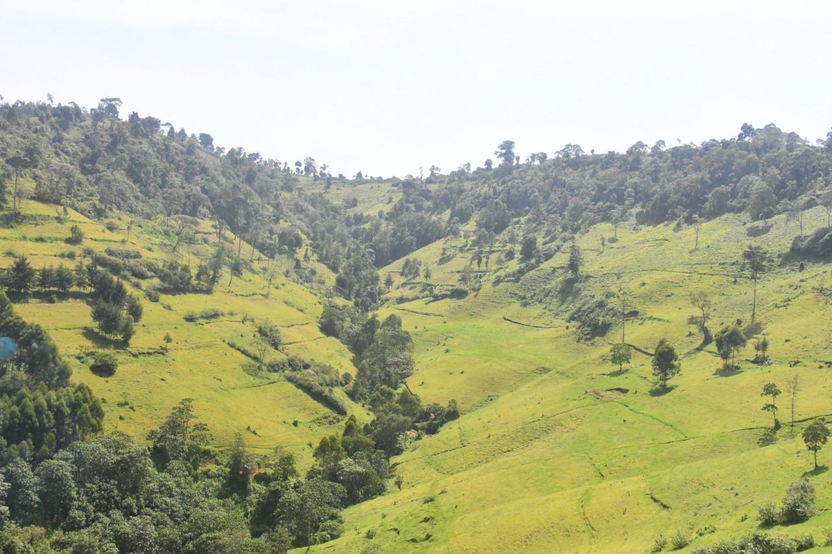 Environment_Ke's tweet photo. Happening now! @Environment_Ke Cabinet Secretary Keriako Tobiko  accompanied by @KeForestService Commandant Alex Lemarkoko is currently conducting an earial &amp; ground tour of the #MauForestComplex to appreciate the status of conservation, management &amp; protection of the forest https://t.co/jiwjW4SVNn