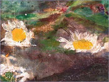 Her clothes spread out wide in the water and buoyed her up for a while as she sang bits of old hymns, acting like someone who doesn’t realize the danger she’s in, or like someone completely accustomed to danger.