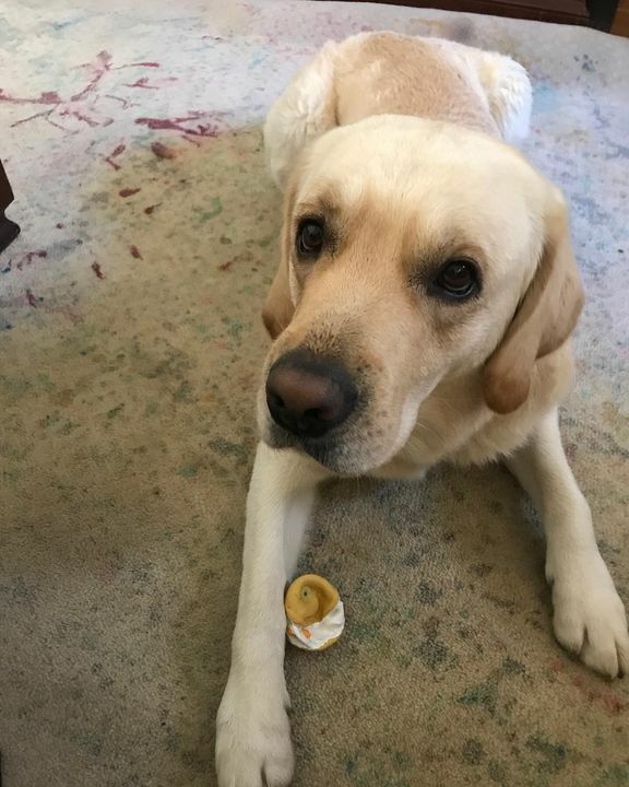 elisadalbosco's tweet photo. Madre ti sto ipnotizzando! #Jack #psychology #ipnotic https://t.co/ASu4FPb6A4 https://t.co/ZSQwn0thtB