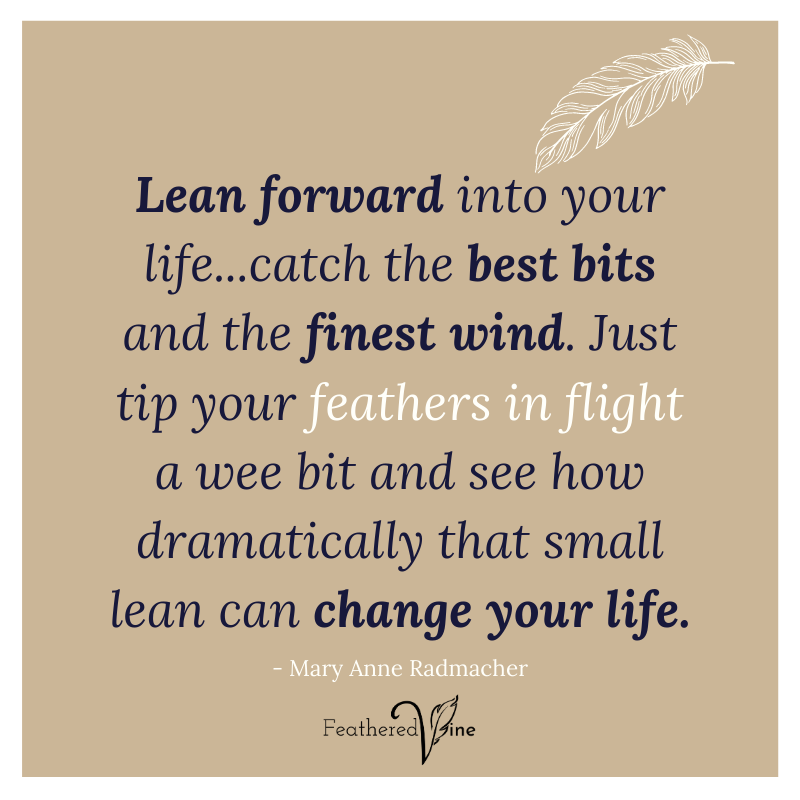 featheredvine's tweet photo. Perhaps the wind around you is not there to blow all your dreams away but help you find the right current to take you to new heights. Perhaps to get higher above the stormy clouds only require a small lean and a wee tip of momentum. Who knows? It could change your life! #momentum https://t.co/pWwPO3FhWz