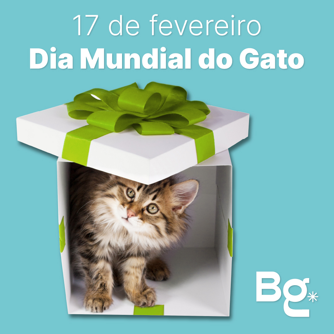 Brasgroup Pets On Twitter Hoje Comemoramos O Dia Mundial Do Gato Gato Diamundialdogato Cat Pet Braspets Chuckit Germanhart Flexi Fatcat Fatcattoys Jw Petmate Petshop Pet Pets Importadorapet Distribuidorapet Petshoponline