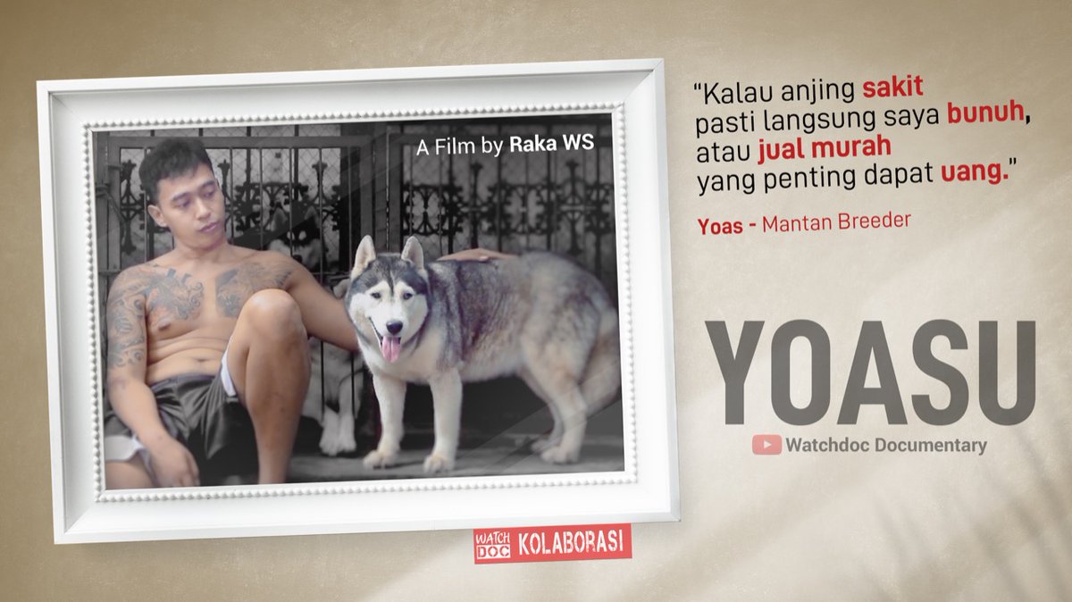 ari_trismana's tweet photo. Pernah nyaris mati dan diselamatkan anjing²nya, seorang breeder berubah jadi seorang pencinta anjing.
Watchdoc Kolaborasi malam ini. 
Di kanal Youtube Watchdoc Documentary. https://t.co/vEmXVzhGiY