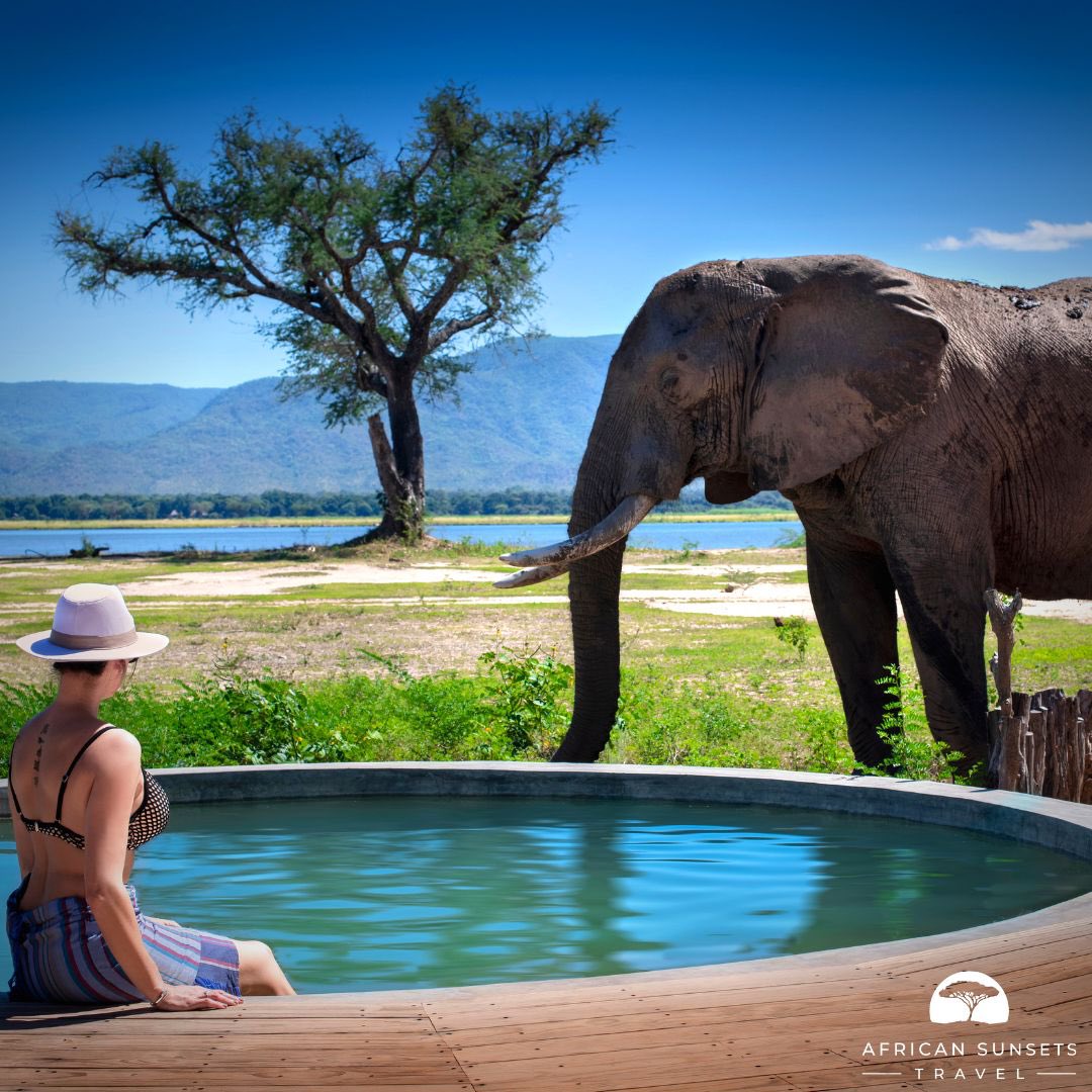 ASunsetsTravel's tweet photo. In Johannesburg or thinking of a trip there? Contact us and book today to experience the beauty of Sun City &amp; the undeniable wonder of the Pilanesberg Safari.

Enquiries@africansunsetstravel.com     #africa #southafrica #Johannesburg #suncity #pilanesberg https://t.co/eZPXWpxfKS