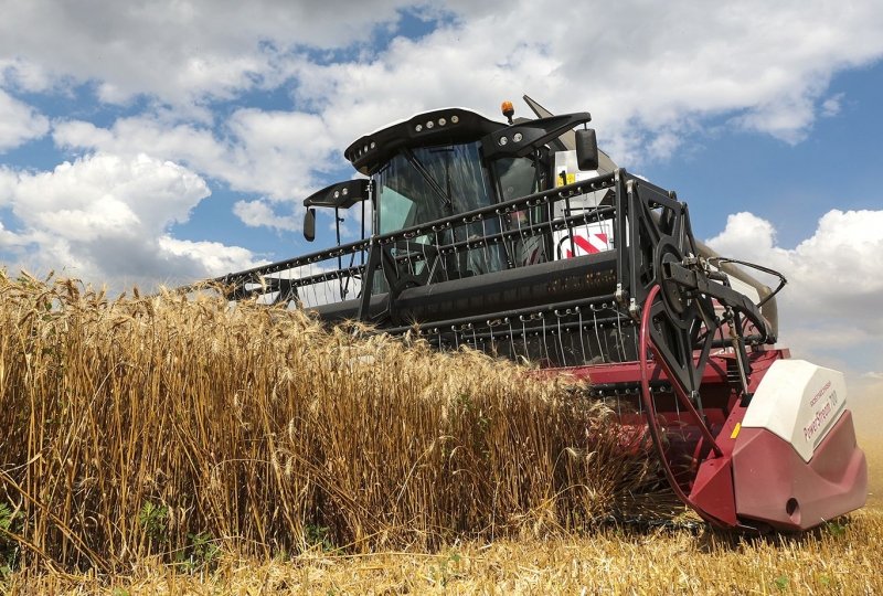 растениеводство в ставрополье. сельское хозяйство ставропольского края растениеводство. хозяйство ставропольского края. хозяйство ставропольского края. ставропольский край сельскохозяйственные.