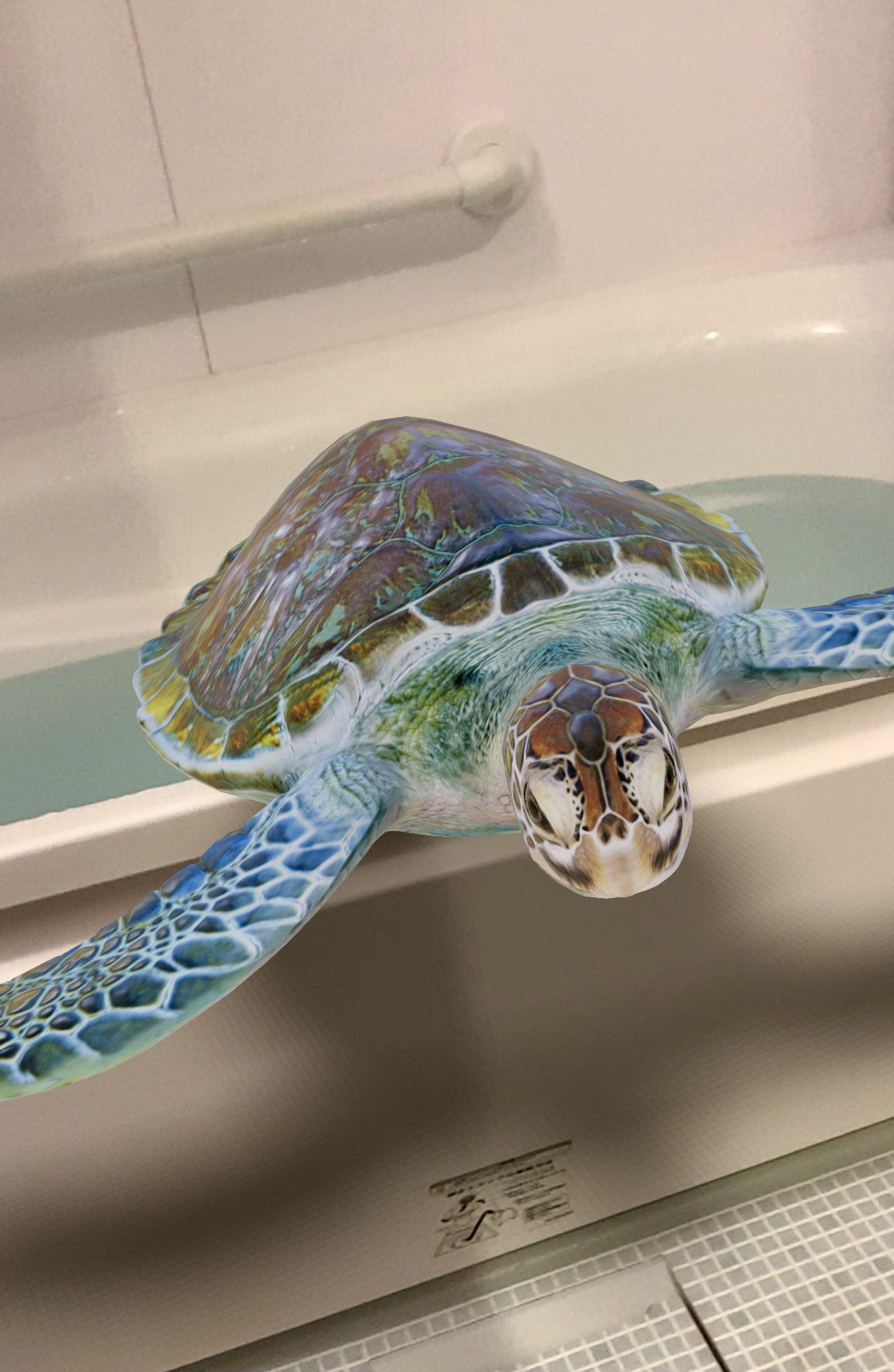 山根舞 偶然発見したgoogle検索の3d機能が楽しい やり方は見たい動物を検索して3d表示ボタンを押すだけ 子猫 タコ 恐竜etc お風呂でウミガメを飼ってみたり電気を消してホタルを楽しんでみたり そして小さな頃 プラテーロとわたし という本を読んで