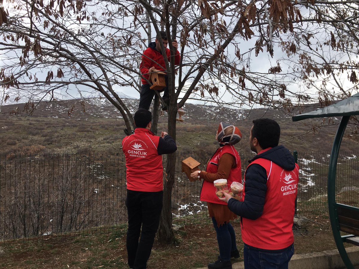GSB_BingolGM's tweet photo. #KuşYuvaları hazır
#Yemlikler hazır
#Yemler dolduruldu
Yolculuk #33Şehit Anıtı çevresine https://t.co/RznhTXbaXv