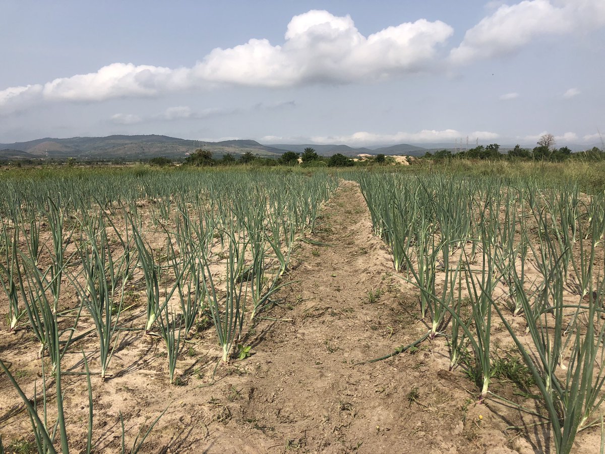 BeitFarms tweet media