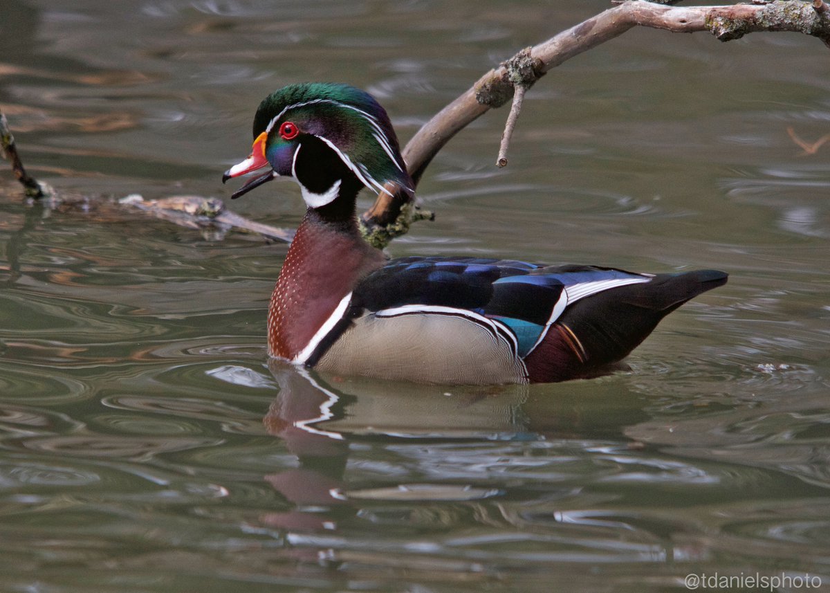 Terry Hlywka tweet media