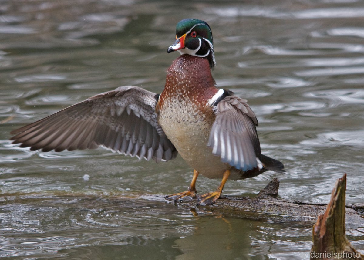 Terry Hlywka tweet media