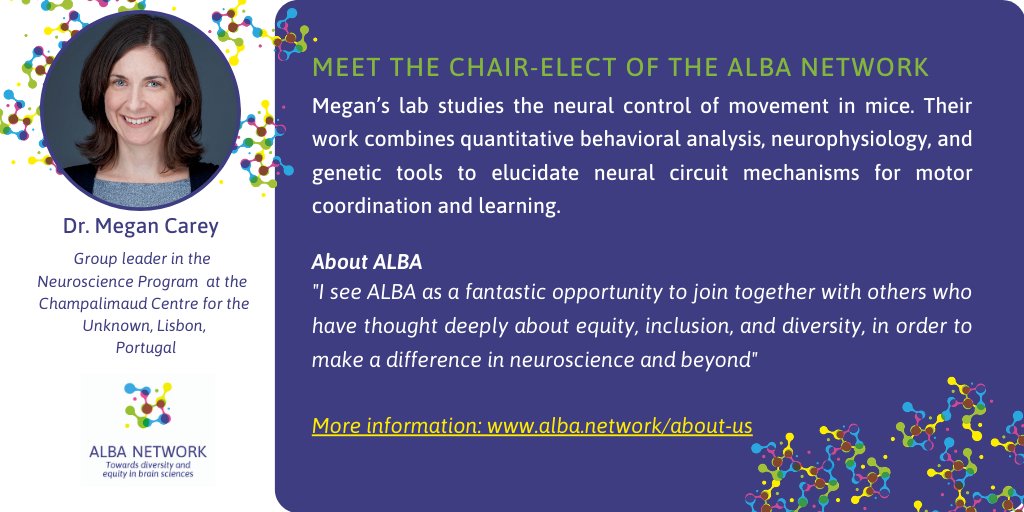ALBA Network (@network_alba) on Twitter photo 📣 Welcome to the new ALBA Network Chair-Elect - Dr Megan Carey (<a href="/Neuro_CF/">ChampalimaudResearch</a>, PT)
We are grateful for her dedication & her crucial work in the development of the #ALBADeclaration on #Equity and #Inclusion. Dr Carey will become Chair in July.
More info at alba.network/about-us 📣 Welcome to the new ALBA Network Chair-Elect - Dr Megan Carey (<a href="/Neuro_CF/">ChampalimaudResearch</a>, PT)
We are grateful for her dedication & her crucial work in the development of the #ALBADeclaration on #Equity and #Inclusion. Dr Carey will become Chair in July.
More info at alba.network/about-us