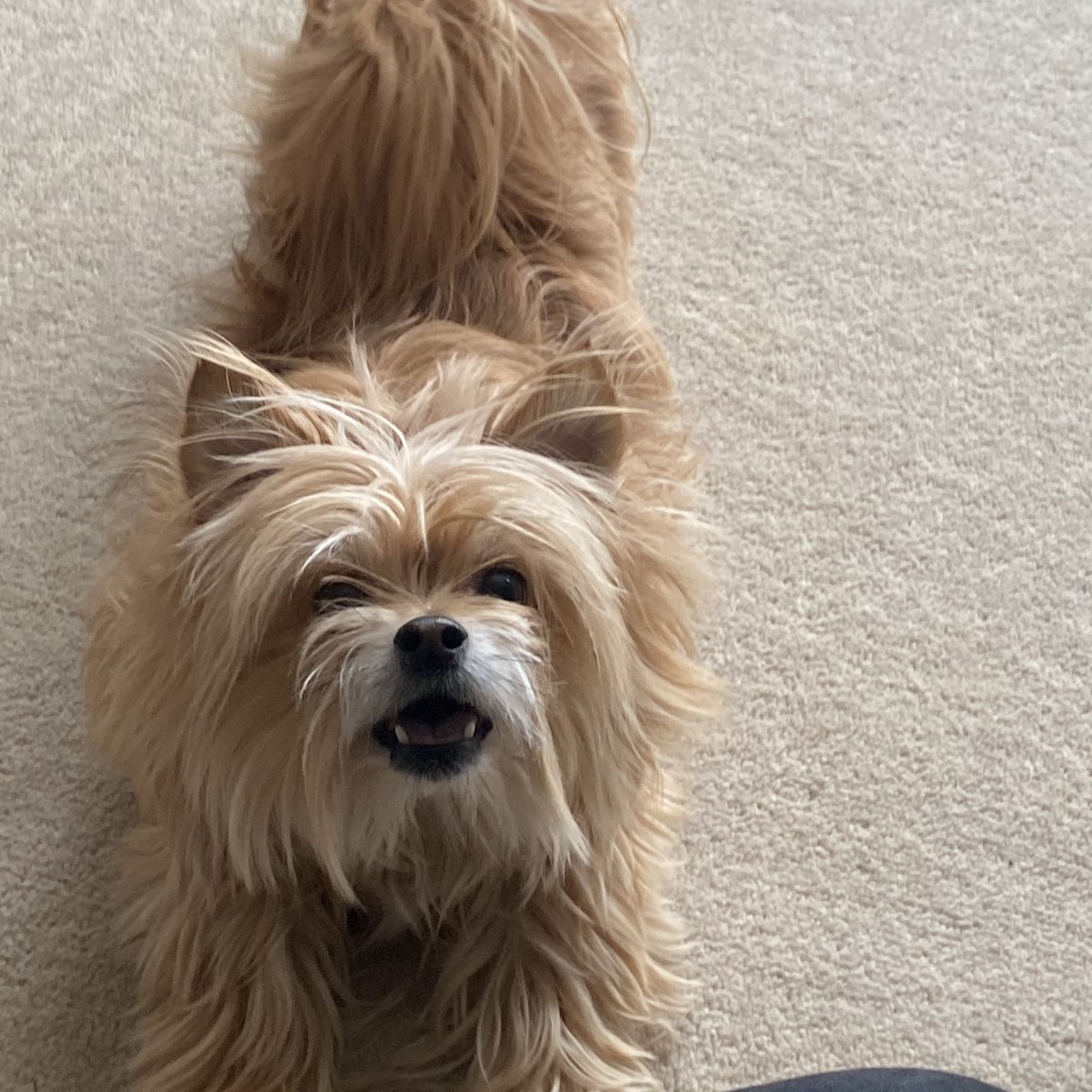 Someone needs a haircut 🤣