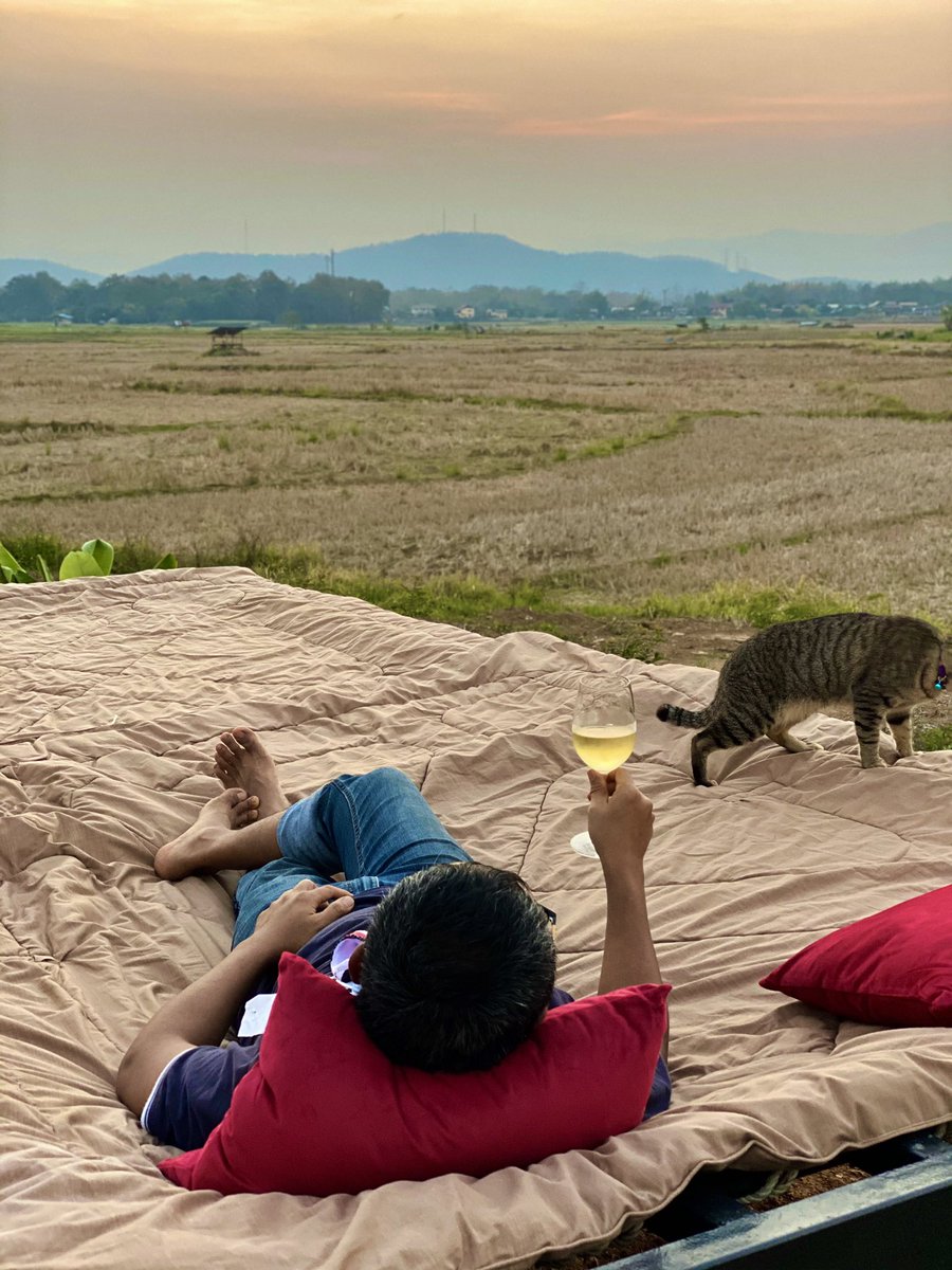 nanseasons's tweet photo. ยามเย็นนอนเล่นชายทุ่งกับแมวที่น่านซีซั่นส์ I’m enjoying the evening hours at The Nan Seasons.

#ที่พักน่าน #โรงแรมน่าน #รีสอร์ทน่าน #ที่พักจังหวัดน่าน #ที่พักใกล้วัดพระธาตุแช่แห้ง #โกน่านทัวร์ #น่านซีซั่นส์ #nanresort #nanhotel #nanthailand #gonantour #nanseasons https://t.co/g5NcPhJTgo