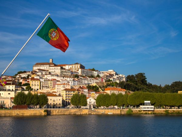 Channelweb NL tweet media