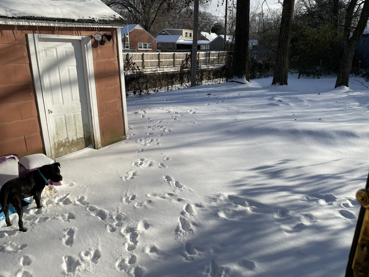 Ok let me tell u about snow