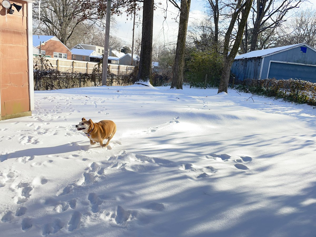 Sombetimes I run THIS way in the snow