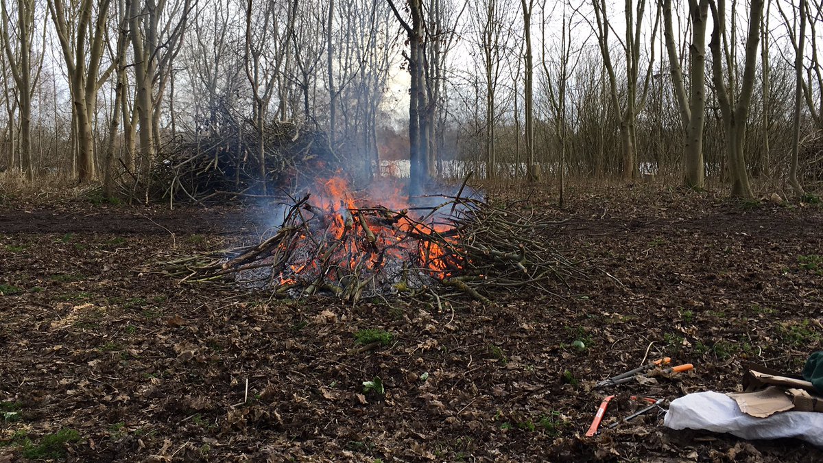 Harrold-Odell Country Park tweet media