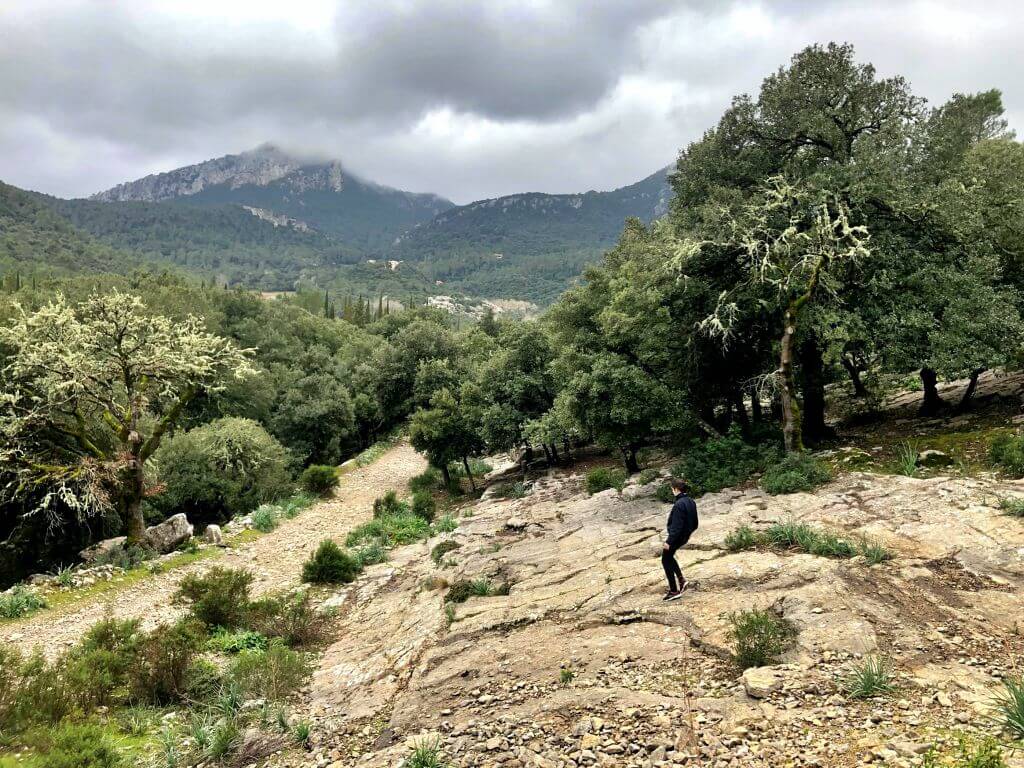 turismepetit's tweet photo. Recomendamos nuevo recorrido circular para visitar la cueva ubicada en el Camí de la Cometa dels Morts. 
Otra excursión localizada en el paraje natural de la Serra de Tramuntana. El inicio lo haremos desde el Santuario de Lluc.

https://t.co/6RMveWYpHe

#turismofamiliar #Mallorca https://t.co/9Vg3ShWY5i