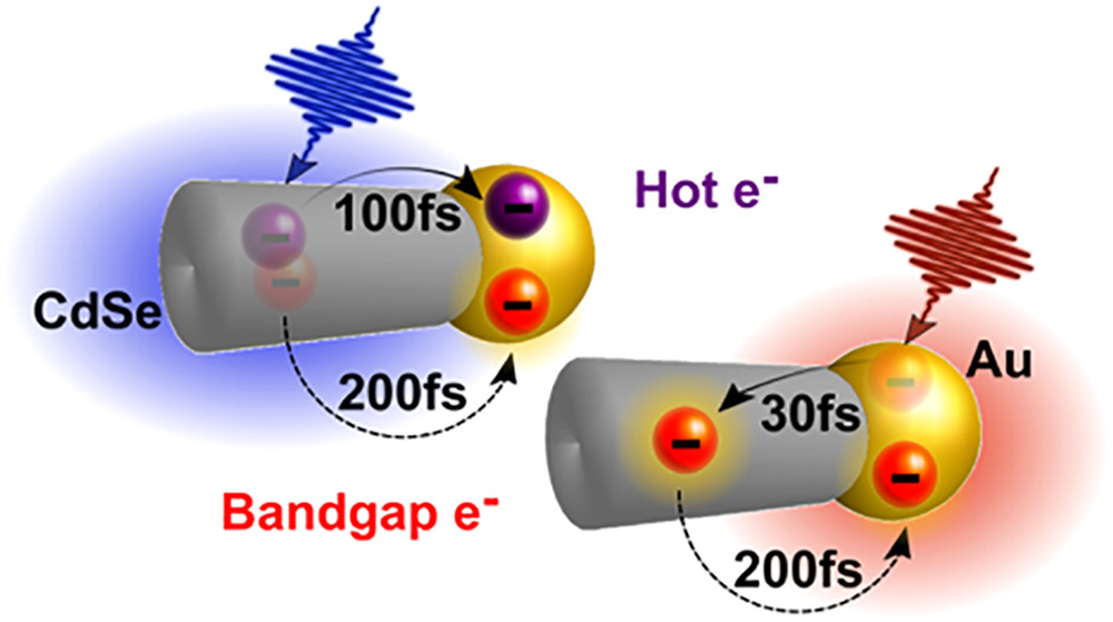 NanoLetters's tweet photo. Research from @CerulloLab & @banin_nano on "Visualizing Ultrafast Electron Transfer Processes in Semiconductor–Metal Hybrid Nanoparticles: Toward Excitonic–Plasmonic Light Harvesting" https://t.co/XS6CYeqaDC #AuthorsChoice #OA https://t.co/VpdioSmIbG