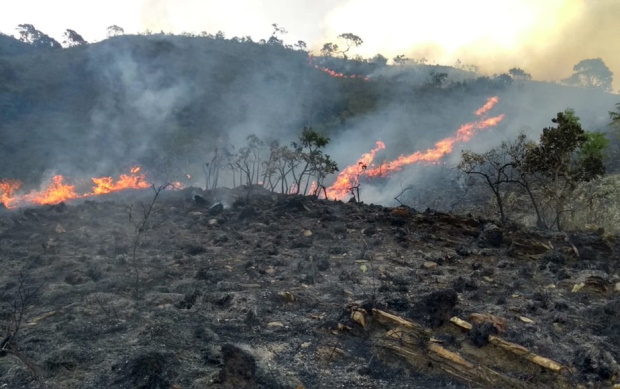 HMagaiver's tweet photo. BOA ESPERANÇA- “Churrasquinho” na cachoeira provoca incêndio e destrói 11 hectares em área de preservação https://t.co/V4JvRcxNGN https://t.co/17q4bbpvUi