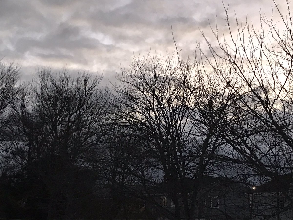 MacLorik's tweet photo. It’s looking very Lent-y out there this morning. May your next 40 days be blessed, friends, as the Son is slowly revealed in new ways within you. #Lent2021 #fromdusttodust #pray https://t.co/xLGwoxmB7a