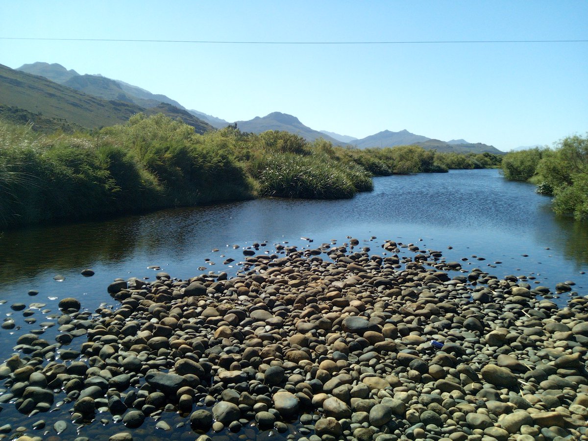 FynbosPhil's tweet photo. Nothing to see here...just #ecologicalinfrastructure quietly (and for free!) ensuring a clean, sustainable water resource for local farmers and a few million people. Carry on.
@WCGovEADP #WaterIsLife #dirpcm @WesternCapeGov https://t.co/2dAQxJhoht